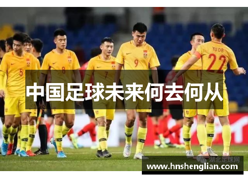 中国足球未来何去何从
